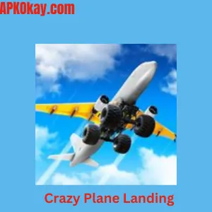 Crazy Plane Landing Mod APK