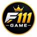 F111 Game